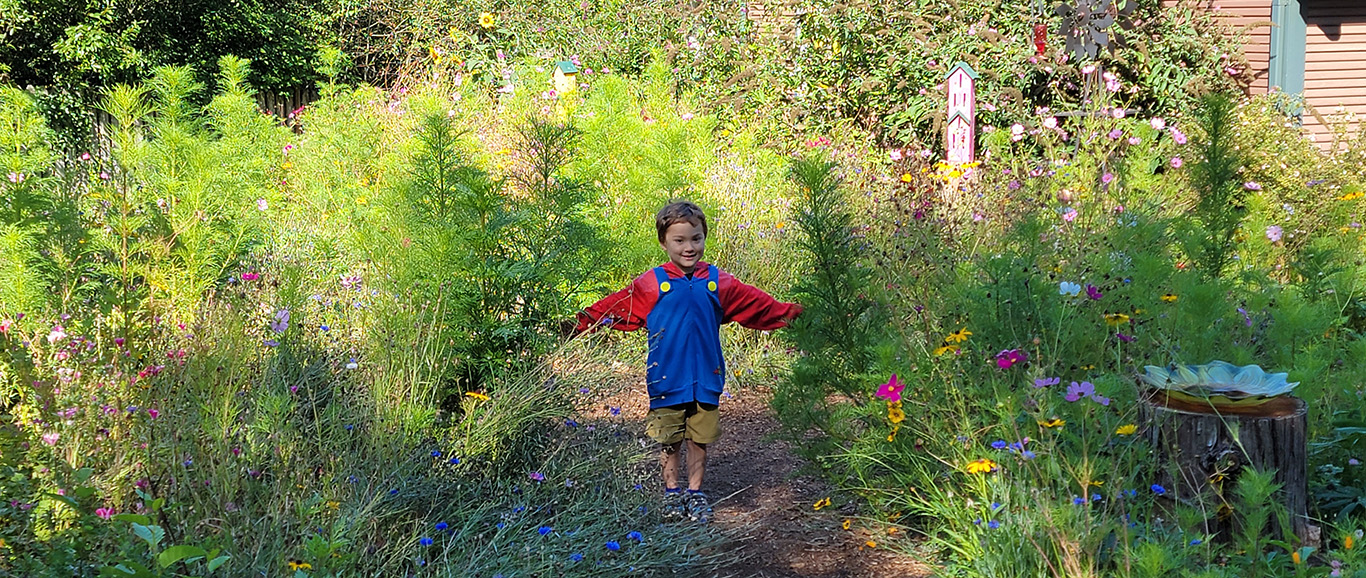 View larger image of Village Learning Child Care child walking through the habitat wildflower gardens Child walking through the habitat wildflower gardens
