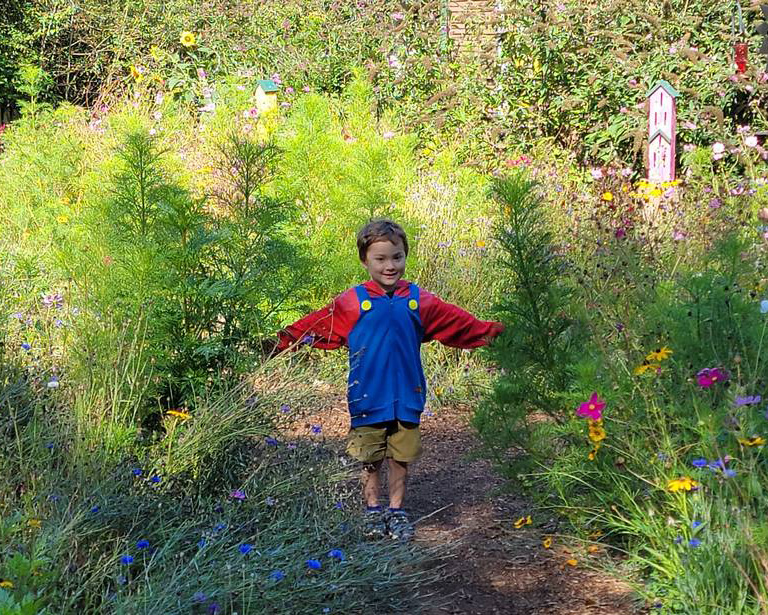 View larger image of a child walking through the pathway in the habitat wildflower gardens Child walking through the pathway in the habitat wildflower gardens