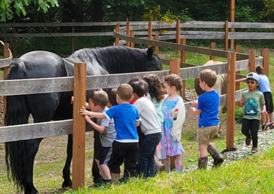 Children lined up along the fence to pet horse