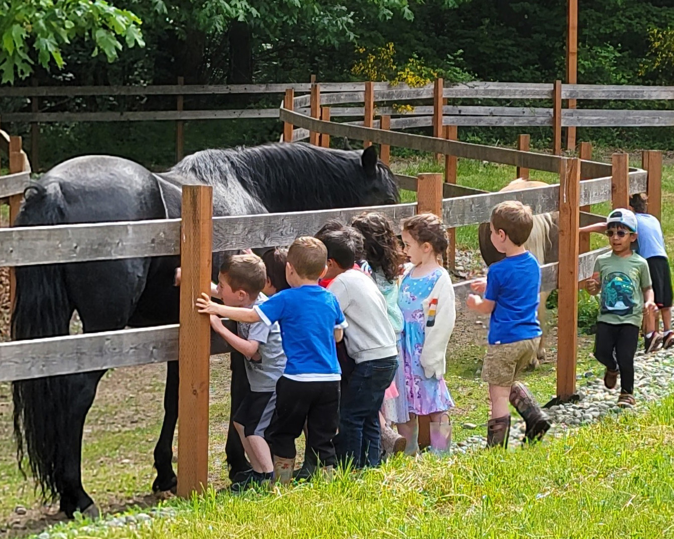 View larger image of Children lined up along the fence to pet horse Children lined up along the fence to pet horse